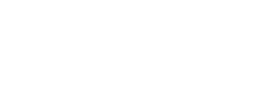 Experto TEC